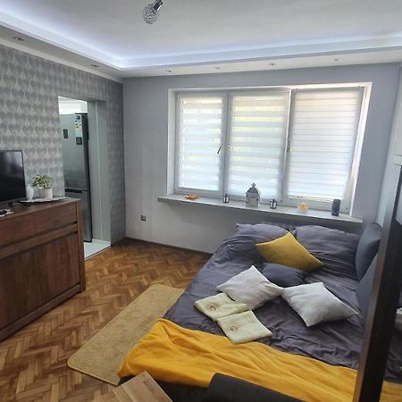 Apartament Park Saski Sandomierz Exterior photo