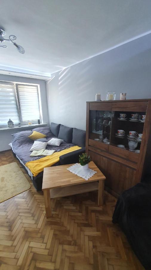 Apartament Park Saski Sandomierz Exterior photo